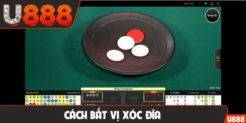 Cách bắt vị xóc đĩa