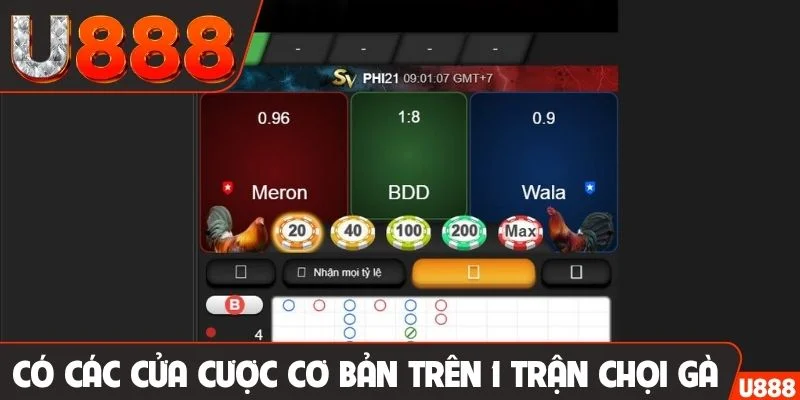 Có các cửa cược cơ bản trên 1 trận chọi gà