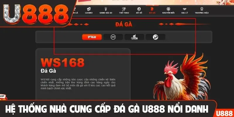 Hệ thống nhà cung cấp đá gà U888 nổi danh