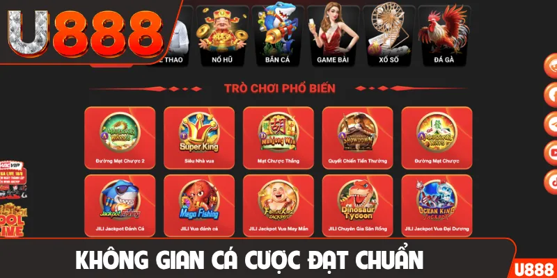 Không gian cá cược đạt chuẩn