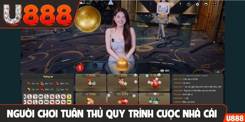 Người chơi tuân thủ quy trình cược của nhà cái