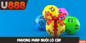 Phương pháp nuôi lô cặp